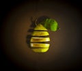 Fresh sliced ripe pear with leaves hanging in the air Royalty Free Stock Photo