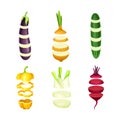 Fresh sliced vegetables set. Pepper, onion, eggplant, cucumber, beetroot organic vegetable lying in vertical rows vector