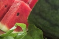 Fresh sliced watermelon wooden background Royalty Free Stock Photo