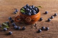 Sloes Royalty Free Stock Photo