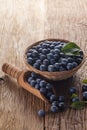 Sloes in bowl Royalty Free Stock Photo