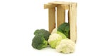 Fresh small cauliflower and broccoli in a wooden crate Royalty Free Stock Photo