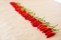 Fresh small cayenne red pepper. Royalty Free Stock Photo