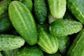 Fresh small cucumbers.