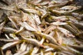 Fresh small fishes freezing on the ice at Sydney fish market. Royalty Free Stock Photo