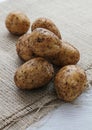 Fresh small new potatoes Royalty Free Stock Photo
