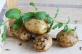 Fresh small new potatoes with mint Royalty Free Stock Photo