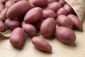 Fresh small Roseval potatoes from a burlap bag Royalty Free Stock Photo