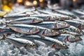 fresh small sardine fish in quantity in fish market.