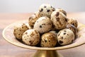 Fresh small spotted partridge eggs on bronze plate Royalty Free Stock Photo