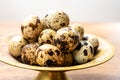 Fresh small spotted partridge eggs on bronze plate Royalty Free Stock Photo