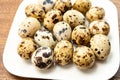 Fresh small spotted partridge eggs on white board