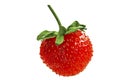 Fresh, small strawberries close up on a white background Royalty Free Stock Photo