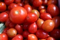 Fresh small tomatoes in market Royalty Free Stock Photo