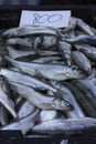 Fresh smelt fish on the market Royalty Free Stock Photo
