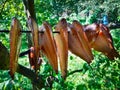 Fresh smoked flounders Royalty Free Stock Photo