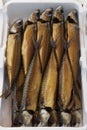 Fresh smoked mackerel