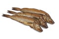 Fresh smoked whiting fish