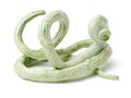 Fresh Snake gourd Royalty Free Stock Photo