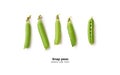 Fresh snap peas isolated Royalty Free Stock Photo