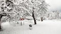 Fresh Snow in the garden with trees white view winter day Royalty Free Stock Photo