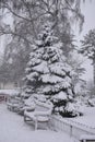 Fresh snow in Jephson Gardens, Leamington Spa, UK - winter landscape, december 2017