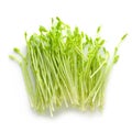 Fresh Snow pea sprouts isolated over a white background Royalty Free Stock Photo