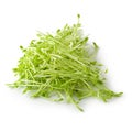 Fresh Snow pea sprouts isolated over a white background Royalty Free Stock Photo