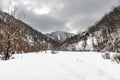 Winter landscape with trees and snow