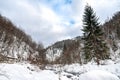 Winter landscape with trees and snow