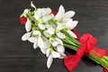 Fresh snowdrops bouquet on dark background Royalty Free Stock Photo