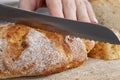 a fresh soft loaf of bread cut into pieces with a knife Royalty Free Stock Photo