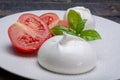 Fresh soft white burrata, ball buttery cheese, made from a mix o