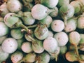 Fresh Solanum in market