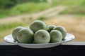 Fresh solanum melongena vegetable on white dish on brown steel floor background, blur nature background, vegetable, health, copy