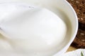 Fresh sour cream Royalty Free Stock Photo