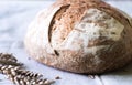 Fresh sourdough artisan bread on kitchen towel