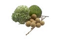 Soursop, Custard Apple and Logan Fruits isolated on white nackground