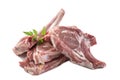 Fresh spare ribs : raw lamb on white background