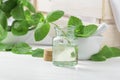 Fresh spearmint leaves and a small bottle with essential mint oil