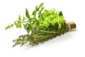 Fresh spices and herbs bouquet, isolated on white background. Dill, lettuce, thyme, sage. Isolated on white background Royalty Free Stock Photo