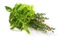 Fresh spices and herbs bouquet, isolated on white background. Dill, lettuce, thyme, sage. Isolated on white background Royalty Free Stock Photo