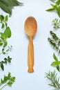 Fresh spicy and medicinal herbs on white background and wooden spoon. Border from various herb - rosemary, oregano, sage, marjoram Royalty Free Stock Photo
