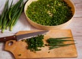 Fresh spicy spring green onion feathers are cut with a knife on a cutting Board and placed on a dehydrator grid.