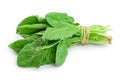 Fresh spinach bundle isolated on white background