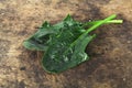 Fresh spinach, high protein