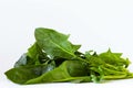Fresh spinach isolated on white background Royalty Free Stock Photo