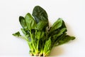 Fresh spinach isolated on white background Royalty Free Stock Photo