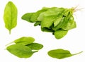Fresh spinach isolated on white background. Royalty Free Stock Photo