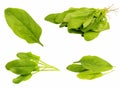 Fresh spinach isolated on white background Royalty Free Stock Photo